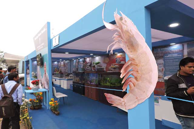 Bengal Fish Festival 2015